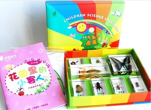 花园里的小客人幼儿早教园儿童科学实验室昆虫科普包埋标本