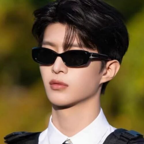 范丞丞同款墨镜偏光防紫外线防晒