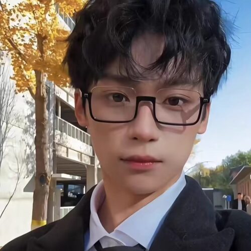 梓渝同款眼镜半框方形黑框素颜男