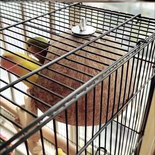 仓鼠小鸟用品平垫用具鸟用铁丝笼配件龙猫鸟笼零件鸟窝固定螺丝