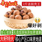 2025新货临安特产特好剥特大野生原味手剥水煮小山核桃轻松好好剥