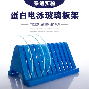 蛋白电泳玻璃板架板片支架干燥架沥干架沥水架载玻片架实验室耗材