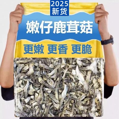 商用鹿茸菇散装特小条