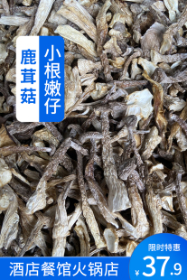 煲汤炒肉吊汤 酒店餐馆麻辣烫火锅店专用 鹿茸菇嫩仔500g 包邮