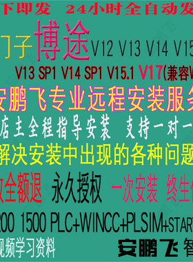 西门子博途TIA博图软件V16 V15 V15.1 V13 13SP1 V14远程安装服务