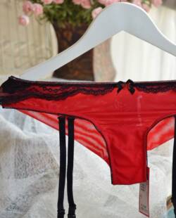 三角内底裤 S0913意大利圣诞奢华单品 吊袜带式 蕾丝高端款 红与黑