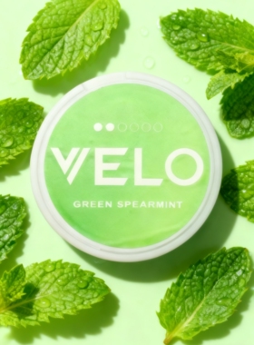 Pablo snus velo口含袋薄荷水果味口唇袋高铁平替ZYN snus口含袋