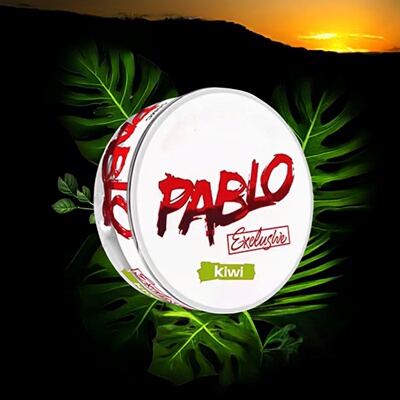 snusPablo口唇袋velo提神戒替zyn