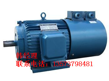 佳木斯电机 佳木斯防爆电机 佳木斯YBF2电机