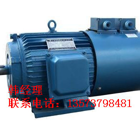 佳木斯电机 佳木斯防爆电机 佳木斯YBF2电机