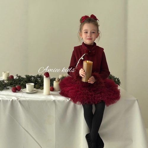 女童新中式长袖网纱蓬蓬连衣裙