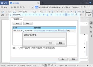 K1-2019office软件专业版安装电脑输入序列号WPS办公软件无限制用