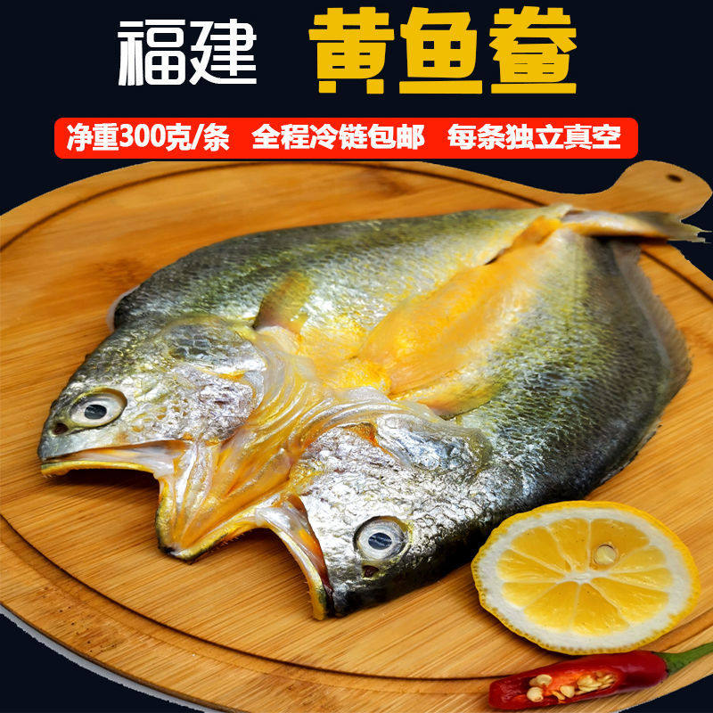 宁德大黄鱼礼盒霞浦黄瓜鱼三去冰冻黄鱼新鲜冷冻生鲜水产冷链包邮