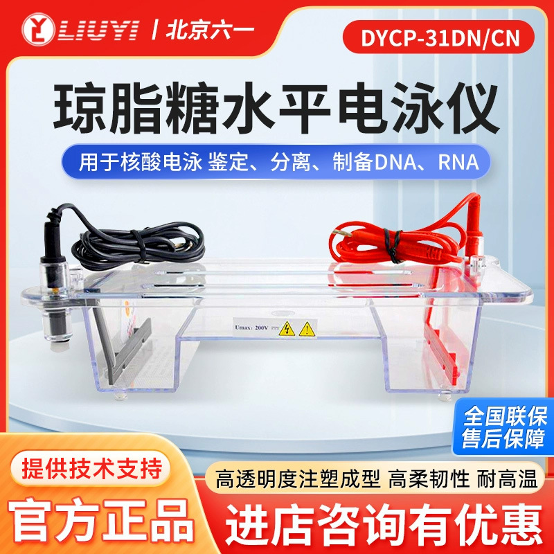 北京六一 DYCP-31DN 凝胶实验室电泳槽电源琼脂糖水平垂直电泳仪