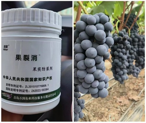 果实防裂肥料果裂消樱桃葡萄柑橘