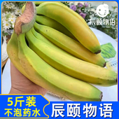辰颐物语绿皮香蕉自然熟云南威尼斯香蕉新鲜不催熟不泡药辰颐店