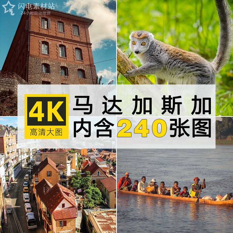 4K高清图库 马达加斯加风光图片猴面包树热带雨林动物摄影照素材