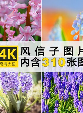 高清葡萄风信子图片粉红白紫色花卉植物清新唯美摄影4K壁纸ps素材