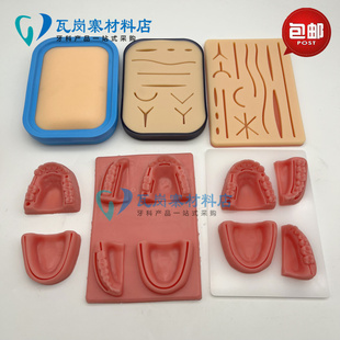 牙科缝合练习模型 医学生用品 仿真口腔模块手术训练模型演示包邮