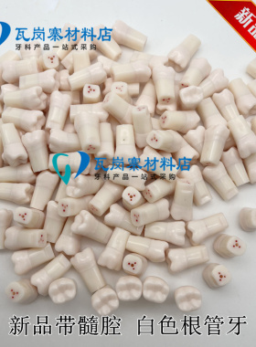 牙科口腔模型根管牙粒 离体白色根管牙粒 不透明根管开髓树脂牙粒