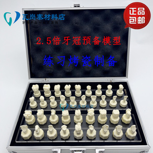 口腔 牙体制备2.5倍牙冠预备模型 修复嵌体全冠类窝洞型 烤瓷基牙