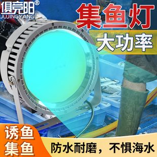 船用集鱼灯户外防水大功率强光超亮青光灯诱鱼赶海钓鱼专用照明灯