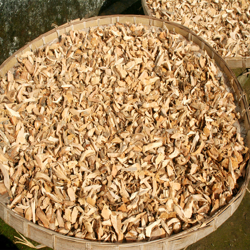 雄杨桃根送石苇切片中药材