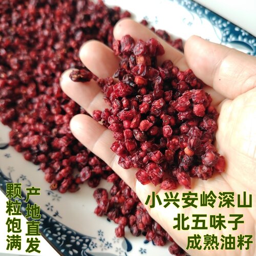东北伊春野生北五味子颗粒油籽新