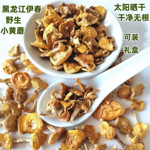 东北野生小黄蘑菇干蘑菇菌菇干货