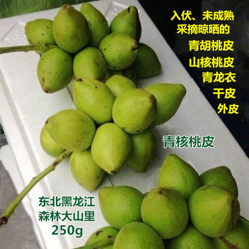 东北青核桃皮山核桃皮青龙衣干皮