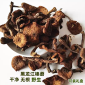 东北榛蘑丁干货野生干蘑菇250g黑龙江伊春臻磨珍蘑野山菌可礼盒
