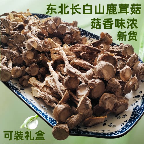 长白山鹿茸菇蘑菇东北鹿茸菌新货
