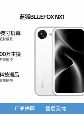 蓝狐NX1网红新款4.0寸迷你手机