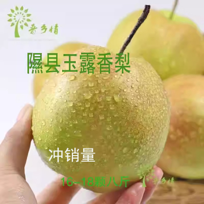 隰县玉露香梨促销清仓