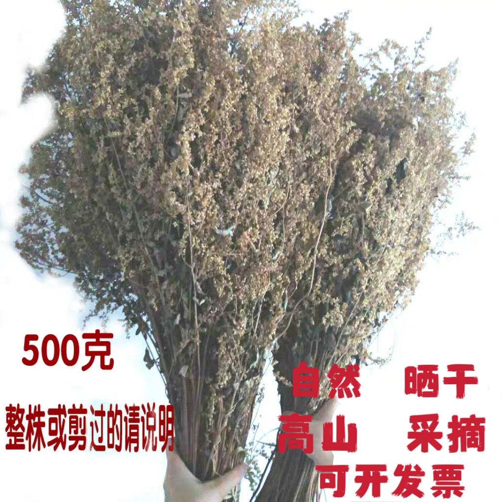 高山野生六月霜茶花草清凉茶500克干货包邮