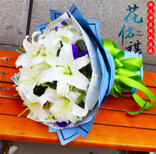 白百合花束价格 白百合花束图片 星期三
