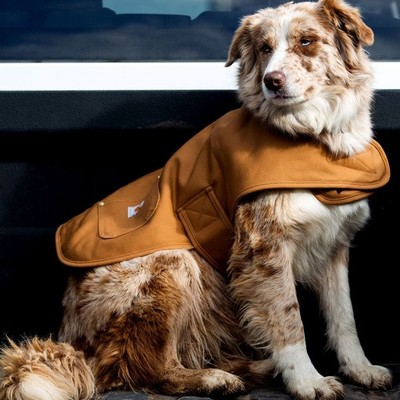 Carhartt Dog Chore Coat 卡哈特主线宠物服防雨保暖外套宠物狗