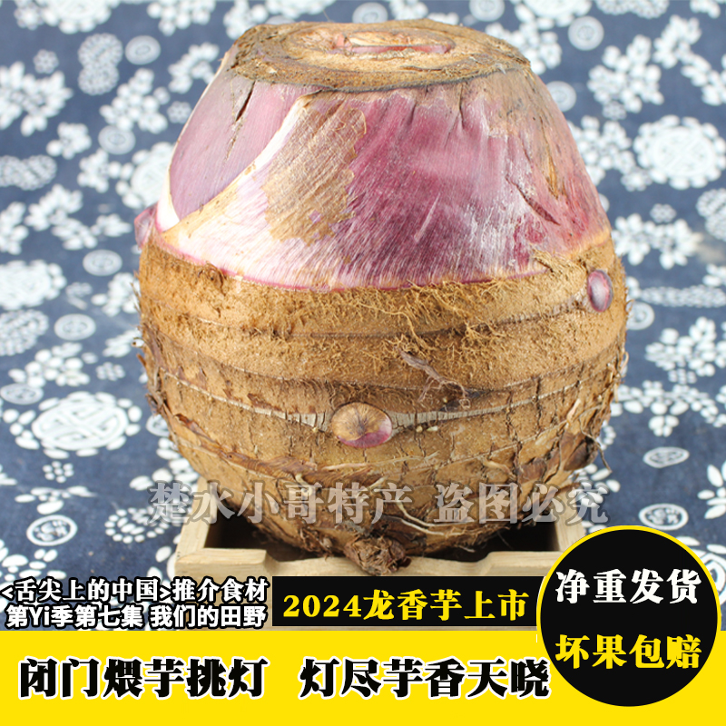 龙香芋大芋头根梗兴化垛田新鲜粉现挖蔬菜软糯小龙头芋泥食材泰州