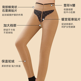 蓝玫佳黛7766加绒加厚驼绒絮片保暖裤打底裤高腰显瘦大码踩脚棉裤