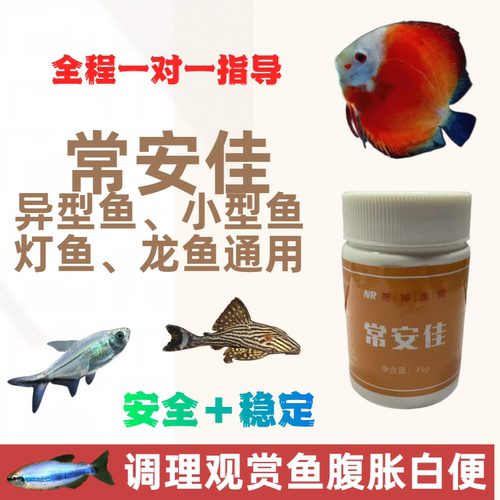 观赏鱼水族肠炎鱼缸草本特效药