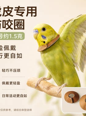 咚哇鹦鹉伊丽莎白圈防啄可飞