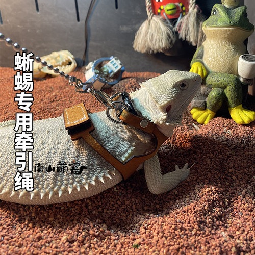 南山萌宠背心式防勒蜥蜴牵引绳