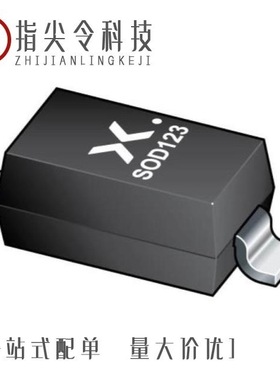 BAS21GWJ/BAS21LDYL/BAS21GWX