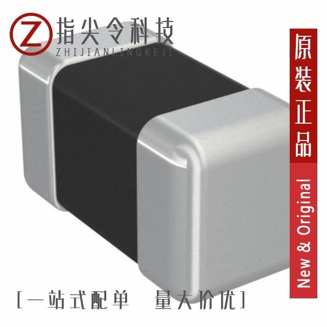DCH101J30SL P6JL5A0 DCH101K22SL N63L5A0 DCH101J30SL PBFP5A0