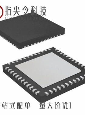 ATA6613P-PLPW/ATA6613P-PLQW/ATA6616-P3QW