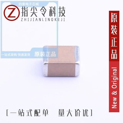 FS55X106K101EHG/FS55X106K101EGG/FS55X225K251EGG