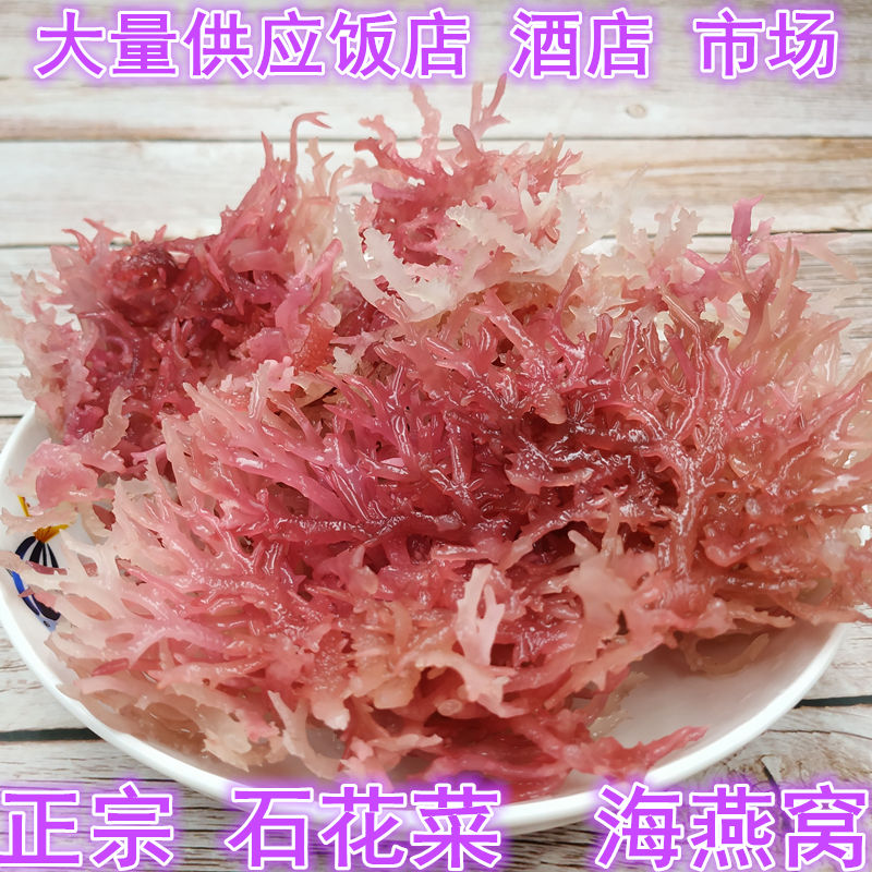正宗红石花菜500g红珊瑚藻海燕窝血珊瑚草海石花菜干货特色凉拌菜
