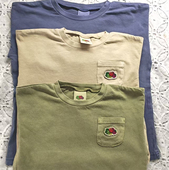 t男女童外贸童装 日本fruit loom水洗复古款 基础纯棉长袖 the