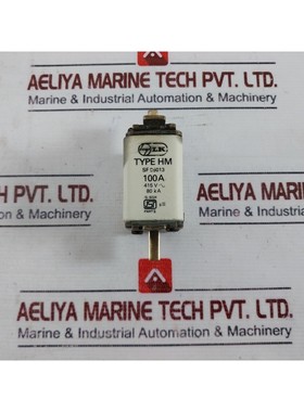 Larsen & Toubro SF 95013 Fuse 100A 415V 80kA