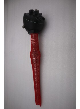 全新 CONAX BUFFALO RTD43W3-316SS25-T8-1-260 RTD 线材库存 G49